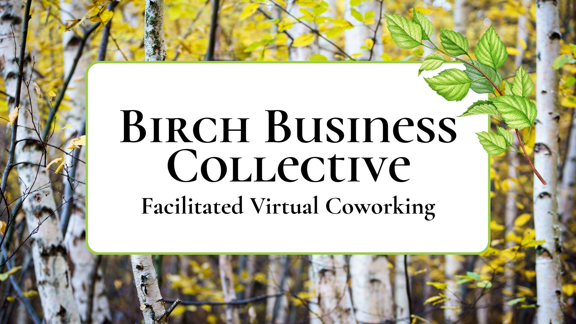 birch business cover