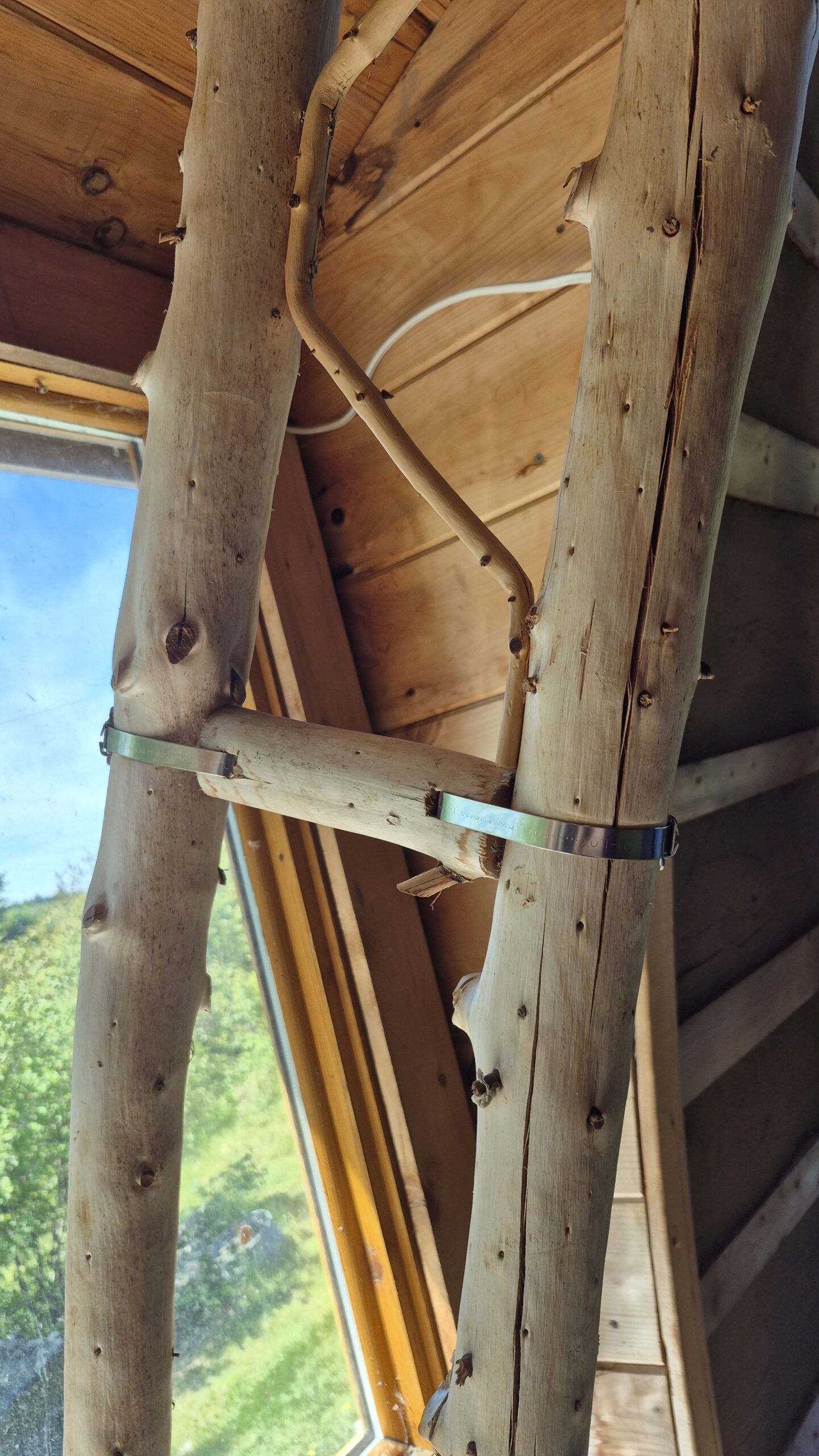 20260617_113126