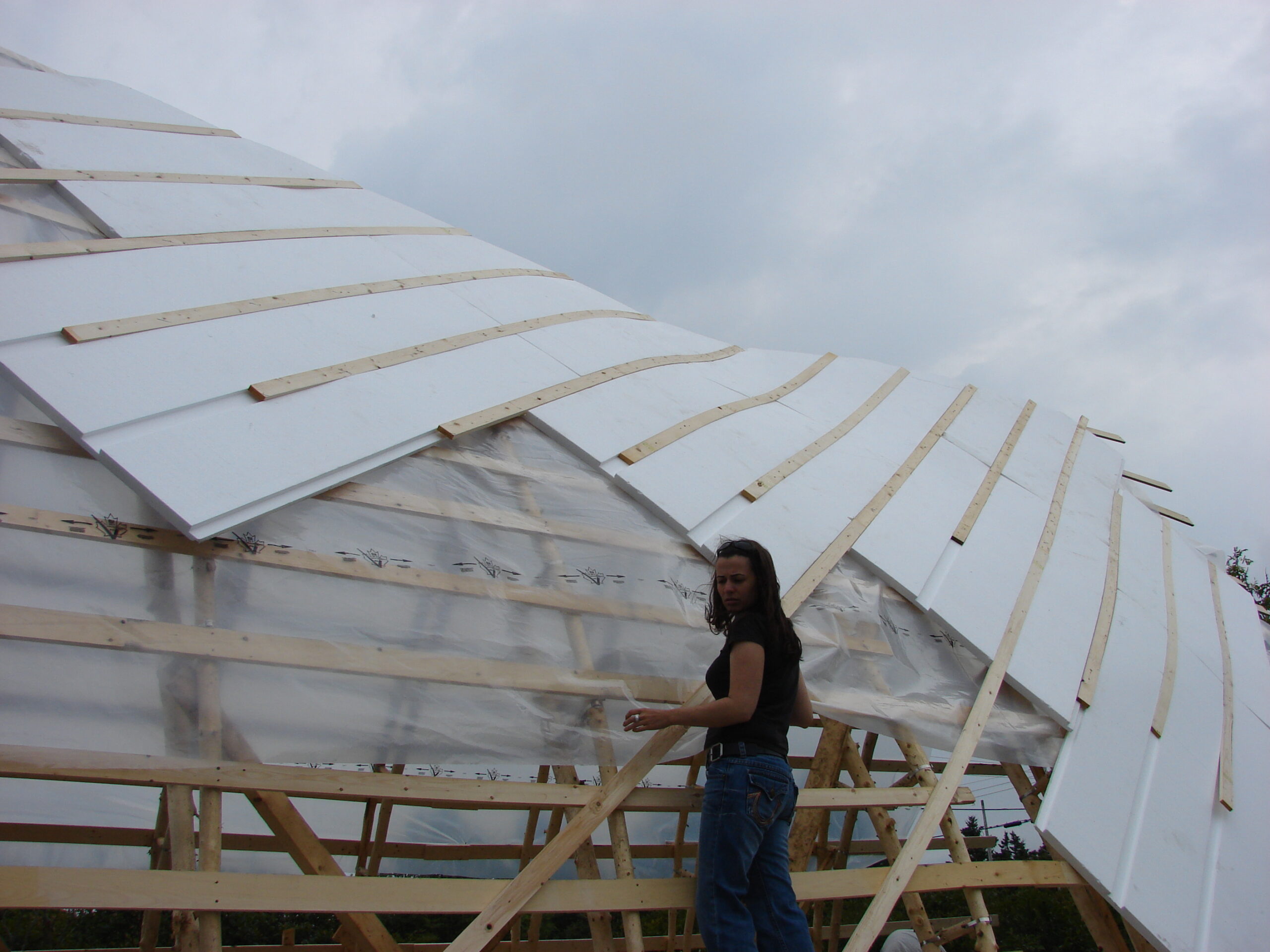 Insulation1